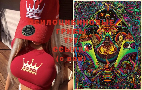 кокс Алексеевка
