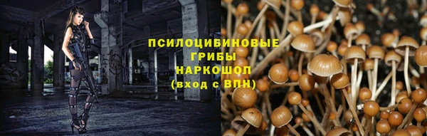 дживик Алексин
